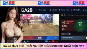 Đá gà trực tiếp