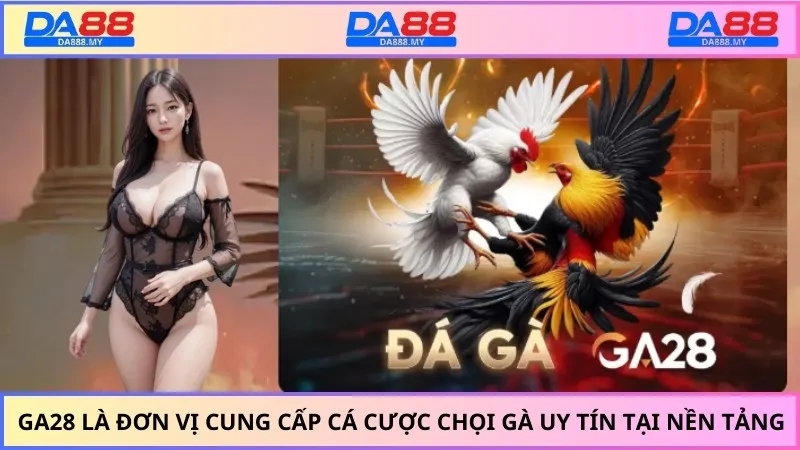 GA28 là đơn vị cung cấp cá cược chọi gà uy tín tại nền tảng