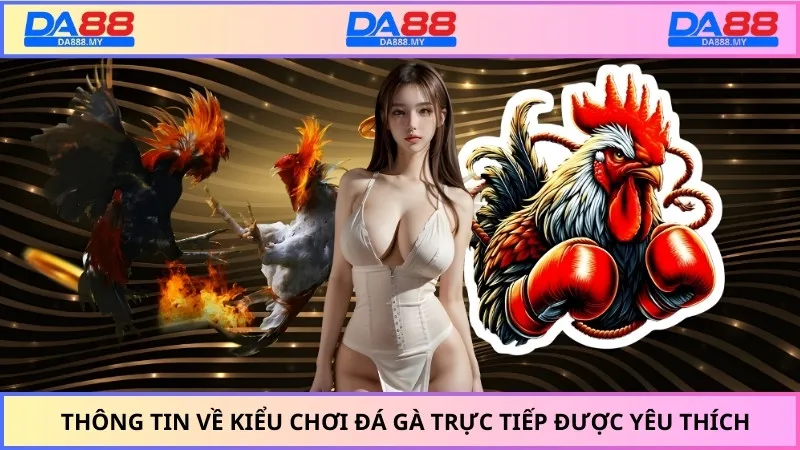 Thông tin về kiểu chơi đá gà trực tiếp được yêu thích